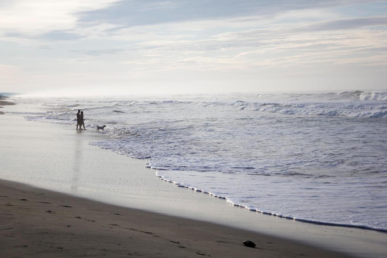 Delfin Playa Azul Lazaro Cardenas (Michoacan) Exterior foto
